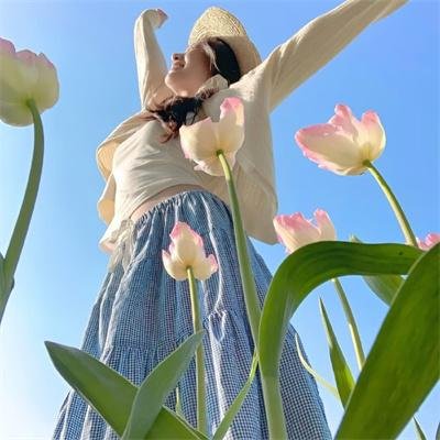 阿富汗骑士